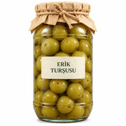 Erik Turşusu – Terra Nevidi