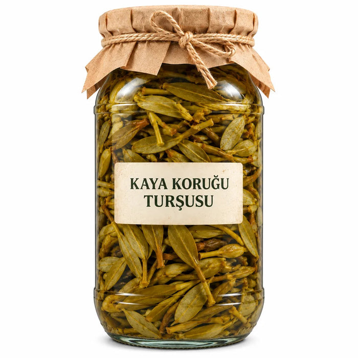 Kaya Koruğu Turşusu – Terra Nevidi